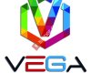 Vega Halı Yıkama