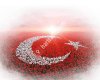 Verenel Derneği Erciş Temsilciliği