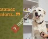 Vetopya Veteriner Kliniği