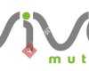 VİVA Mutfak