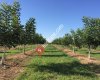 Waltree Nursery