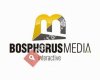 Web Tasarım Ajansı Bosphorusmedia Interactive
