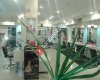 X MAS Coiffeur and Beauty Center
