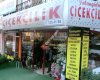 Yabangülü Çiçekçilik