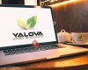 Yalova Bahçe Kültürleri