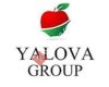 Yalova Group