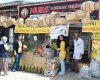 Yayla Şifalı Bitkiler Dünyası