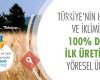 yedibolgedortiklim