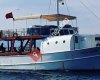 Yekta Kaptan Günlük Tur Balık ve Gezi Teknesi