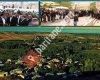 Yemişlik • NARİK Derneği