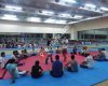Yılmazer Fight Akademi Kick Boks Muay Thai Wushu