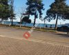 YOK YOK Magzasi