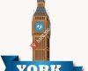 York Yeditepe