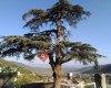 Yukarı Karafakılı Köyü Muhtarlığı