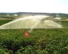 Yuzuak Irrigation Systems