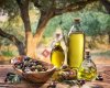 Zeytin Dalı