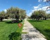 Zeytin Park