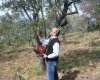 Zeytin/zeytinyaği