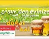 zirvedengelsin.com