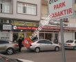 amanos pet shop