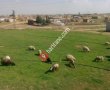 Aşağı Kesmekaya Köyü Muhtarlığı