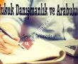 Ses Hukuk Danışmanlık ve Arabuluculuk