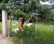 AYDINLAR HALISAHA VE DÜĞÜN SALONU