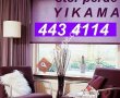 belinay halı yıkama 4521904