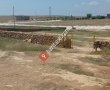 Büyük Taşlıca Köyü Muhtarlığı