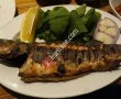 Çardak Meyhane