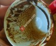 Coffeemania
