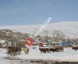 Dogruyol Köyü Muhtarlığı