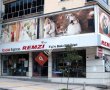 Foto Remzi