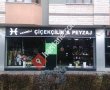 Hanımeli Çiçekçilik