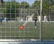 İzmir Büyükşehir Belediyesi Gençlik Ve Spor Kulübü Celal Atik Spor Salonu
