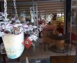 Kulübe 462 Cafe & Restaurant Zeynep ÇAKICIBAL
