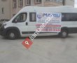 Mavisu Turzım