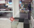 VETERİNER HEKİM Cemil Şahin (Mikrobiyoloji Bilim Uzmanı)