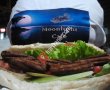 Moonlight Cafe