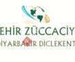 nehir züccaciye