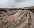 Oz Cappadocia Tour & Rent a Car