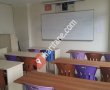 Neşe Buzol Akademi