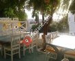 Papillon Bistro