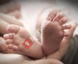 Pastel Baby Fotoğrafçılık