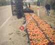 Petrol Ofisi-mustafa Özgören Petrol