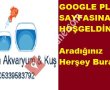 Şencan Akvaryum & Kuş
