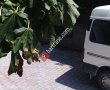Sofulu 3 Nolu Aile Sağlığı Merkez