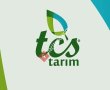 Tcs tarim