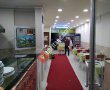 Turkuazpest İlaçlama ve Dezenfektan