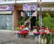 Uğur Çiçekçilik 03567157444